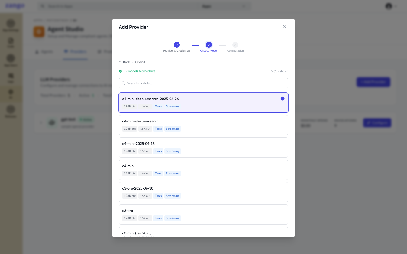 Add Provider form